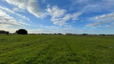 Terreno em Vale da Vila - Setúbal