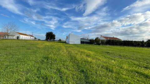Terreno em Vale da Vila - Setúbal