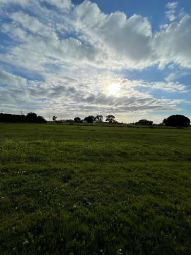Terreno em Vale da Vila - Setúbal