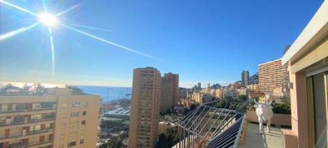 Luxo totalmente renovado e muito brilhante penthouse/telhado de 3 quartos em Monte - Carlo