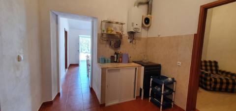 Monte alentejano, em Almodôvar, com 2,5 hectares