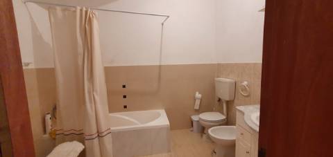 Monte alentejano, em Almodôvar, com 2,5 hectares