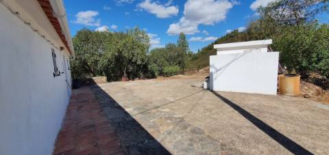 Monte alentejano, em Almodôvar, com 2,5 hectares
