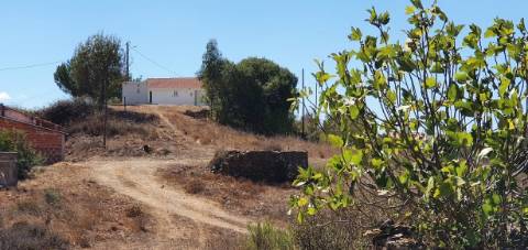 Monte alentejano, em Almodôvar, com 2,5 hectares