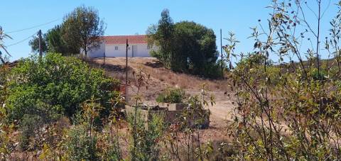 Monte alentejano, em Almodôvar, com 2,5 hectares