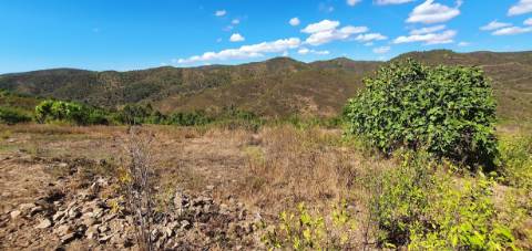 Monte alentejano, em Almodôvar, com 2,5 hectares
