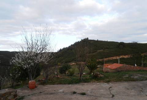 Monte alentejano, em Almodôvar, com 2,5 hectares