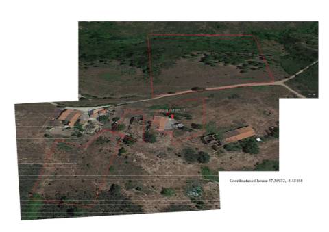 Monte alentejano, em Almodôvar, com 2,5 hectares