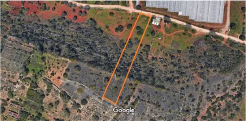 Terreno Rústico em Cerro do Moinho