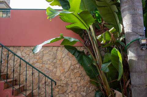 Oportunidade - Moradia T5 com anexo independente T3