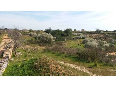 Terreno para construção de 11 Moradias com piscina. PIP aprovado!