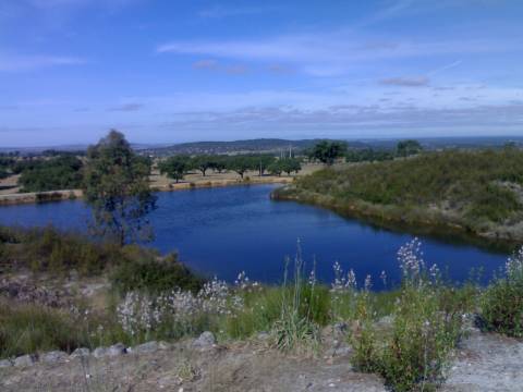 Herdade no Alentejo na zona de Portalegre
