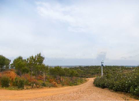 Herdade perto da serra de Serpa. 
Esta herdade de 60 hectares é abundante em sobreiros e pinheiros, bem como excelentes terrenos para a plantação de medronho.