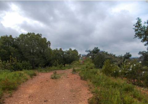 Herdade perto da serra de Serpa. 
Esta herdade de 60 hectares é abundante em sobreiros e pinheiros, bem como excelentes terrenos para a plantação de medronho.
