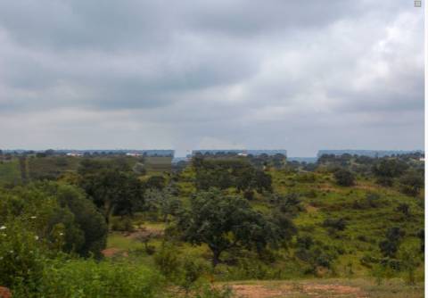 Herdade perto da serra de Serpa. 
Esta herdade de 60 hectares é abundante em sobreiros e pinheiros, bem como excelentes terrenos para a plantação de medronho.