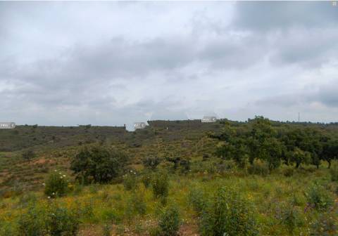 Herdade perto da serra de Serpa. 
Esta herdade de 60 hectares é abundante em sobreiros e pinheiros, bem como excelentes terrenos para a plantação de medronho.
