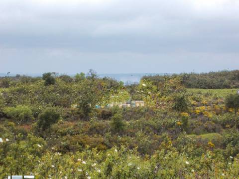 Herdade perto da serra de Serpa. 
Esta herdade de 60 hectares é abundante em sobreiros e pinheiros, bem como excelentes terrenos para a plantação de medronho.