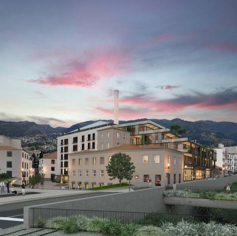 Loft T1 de Luxo no Centro do Funchal