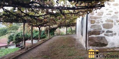 Quinta de 3060 m2 com Moradia T5 | Roriz, Santo Tirso