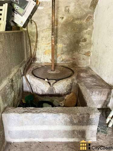 Quinta de 3060 m2 com Moradia T5 | Roriz, Santo Tirso