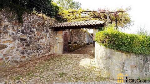 Quinta de 3060 m2 com Moradia T5 | Roriz, Santo Tirso