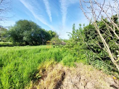 Terreno Rústico com 4000 m2 em Ermesinde
