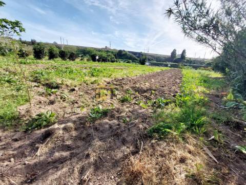 Terreno Rústico com 4000 m2 em Ermesinde