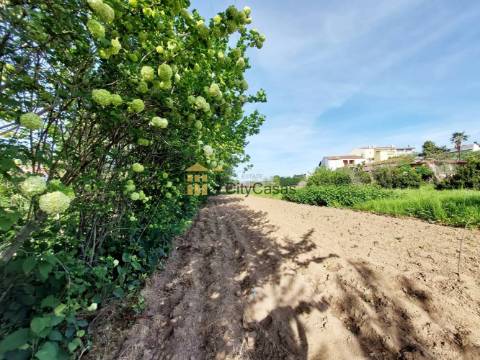 Terreno Rústico com 4000 m2 em Ermesinde