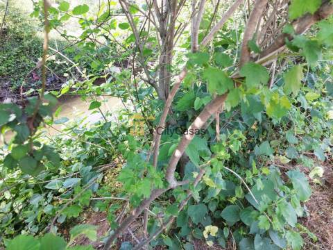 Terreno Rústico com 4000 m2 em Ermesinde