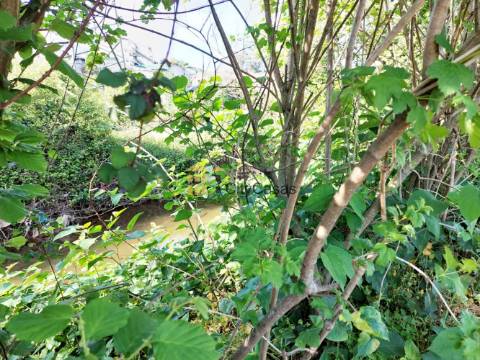 Terreno Rústico com 4000 m2 em Ermesinde