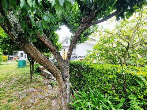 Propriedade com 4 Casas | São Mamede de Infesta