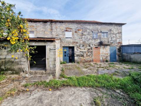 Terreno com 7000 m2 | Fânzeres