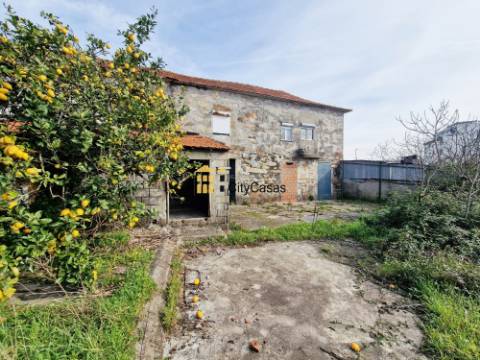 Terreno com 7000 m2 | Fânzeres