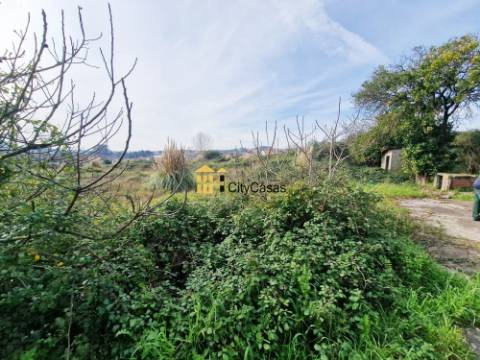 Terreno com 7000 m2 | Fânzeres