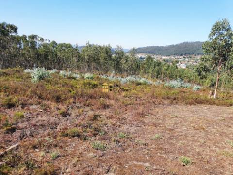 Terreno em Melres c/ Potencial de Construção