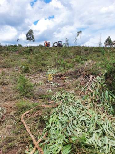Terreno em Melres c/ Potencial de Construção