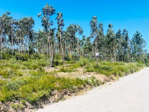 Terreno em Melres c/ Potencial de Construção