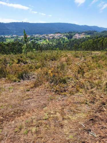 Terreno em Melres c/ Potencial de Construção