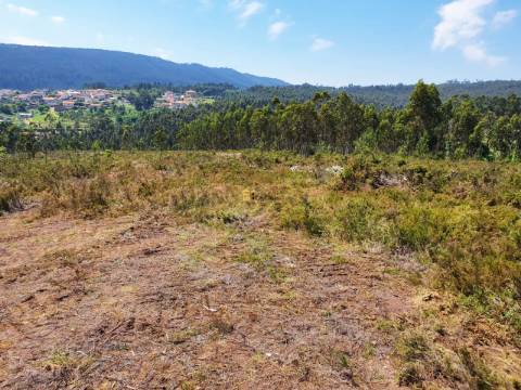 Terreno em Melres c/ Potencial de Construção