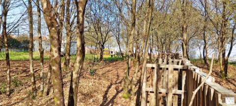 Terreno Para Construção de Moradias em Lodares