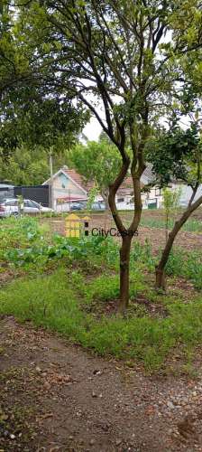 Armazém em Terreno de 600 m2