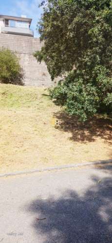 Terreno Urbano P/ Moradia