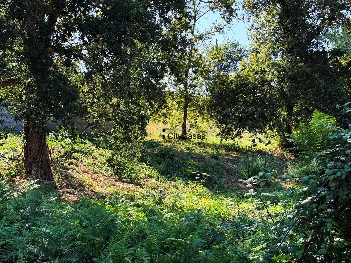 Terreno 1402 m2 a poucos metros da Praia de Valadares