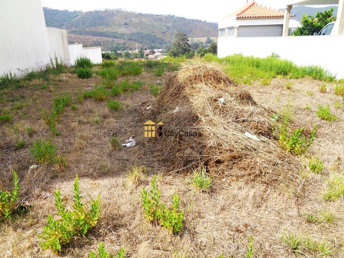 Terreno p/ Construção de Moradia | Campo
