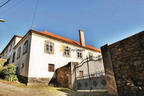 Quinta no Douro Vinhateiro com 15,6 hectares