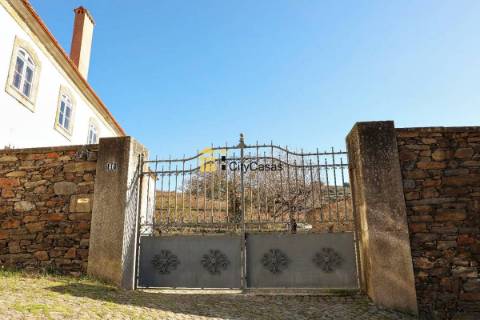 Quinta no Douro Vinhateiro com 15,6 hectares