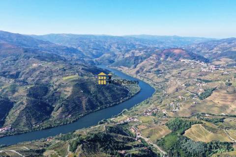 Quinta no Douro Vinhateiro com 15,6 hectares