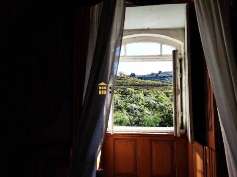 Quinta no Douro Vinhateiro com 15,6 hectares