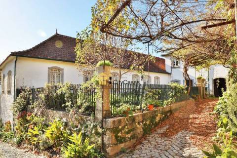 Quinta no Douro Vinhateiro com 15,6 hectares