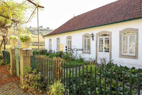 Quinta no Douro Vinhateiro com 15,6 hectares